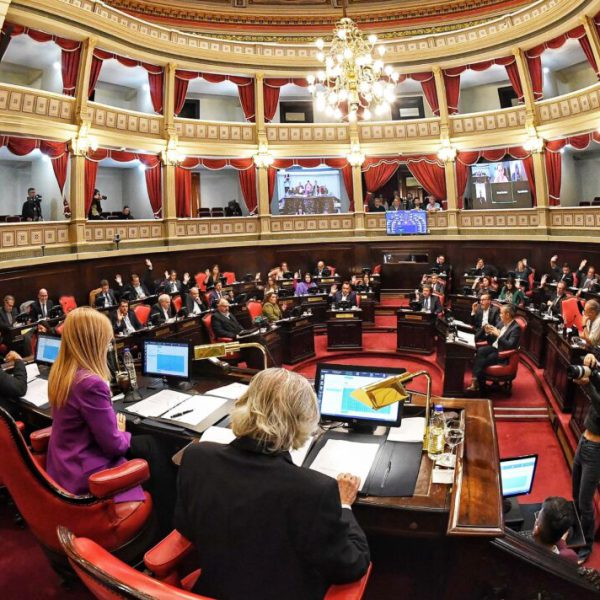 REPUDIAMOS LA DECISIÓN DE LA VICEGOBERNADORA MAGARIO