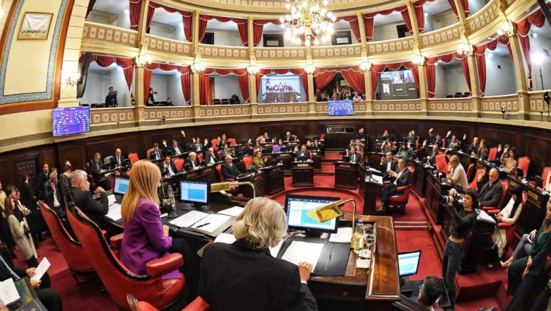 REPUDIAMOS LA DECISIÓN DE LA VICEGOBERNADORA MAGARIO